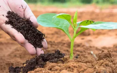 Soil Additives & Fertilizers