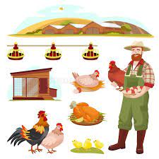 Poultry Farming Equipment