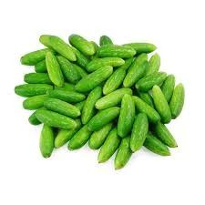 Lvy Gourd