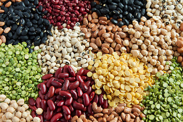 Bean Seeds