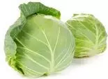 Cabbage