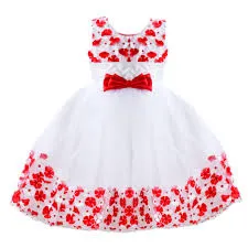 Embroidered Frock