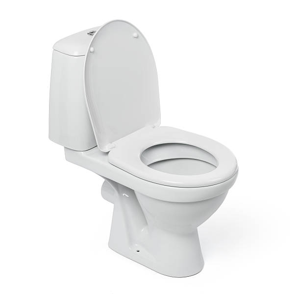 Floor Mounted Toilets