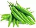Fresh Green Chilli