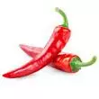 Fresh Red Chilli