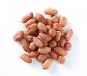 Groundnut Seeds
