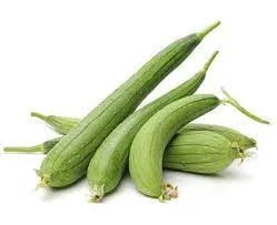 Sponge Gourd