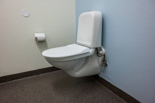 Wall Hung Toilet