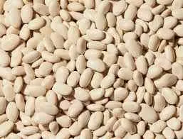 White Bean