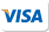 visa payment