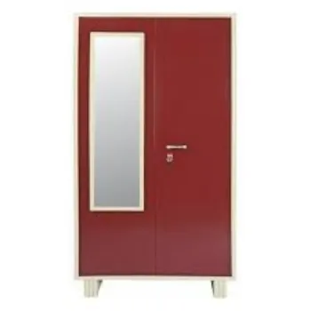 Polished Metal Almirah