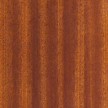 Polished Veneer Sheet