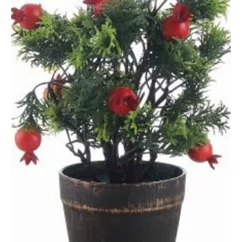 Red Pomegranate Plant