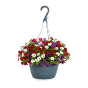 Modern Hanging Basket