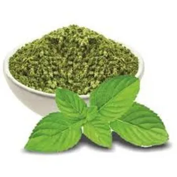 Fresh Dry Mint Leaves