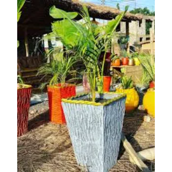 Perfect Areca Palm Plant