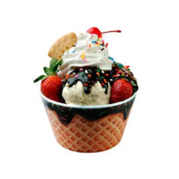 Plastic Ice Cream Bowl
