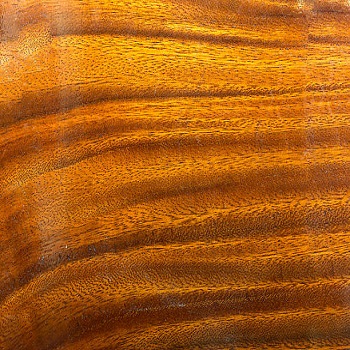 Fine Finishing Recon Veneer