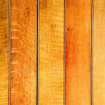Eco Friendly Veneer Panel