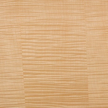 Rectangle Film Faced Plywood