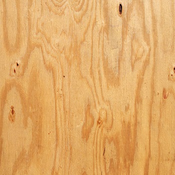 Polished Shuttering Plywood