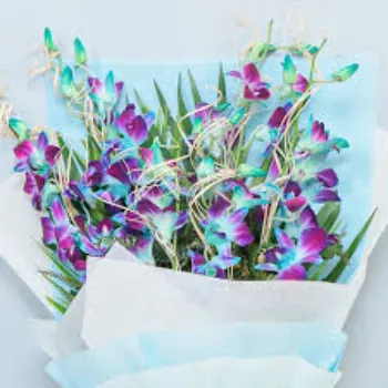 Beautiful Orchid Flower