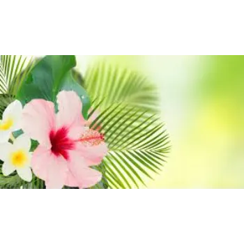 Great Tropical Flower