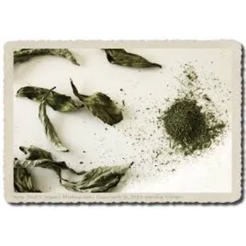 Perfect Dry Stevia Leaves