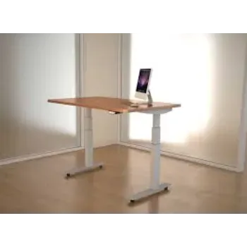  Adjustable Height Workstations