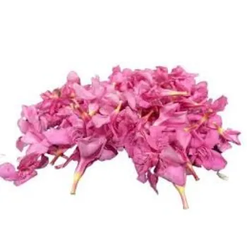 Natural Arali Flowers