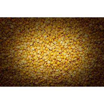 Arhar Daal