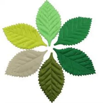 Artificial Leaf