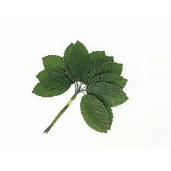 Plastic Artificial Leaf