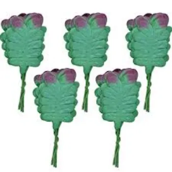 PP Artificial Leaf