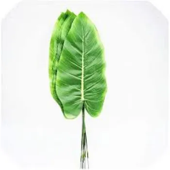 Plastic Artificial Leaf