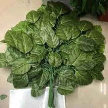LDPE Artificial Leaf