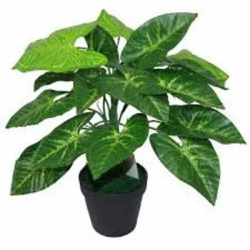 Artificial Plants