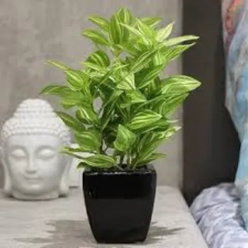 Plastic Artificial Plants