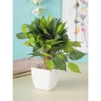 Modern Artificial Plants