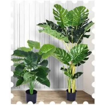 Plastic Artificial Plants