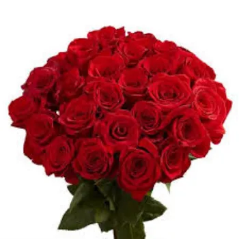 Plastic Artificial Rose