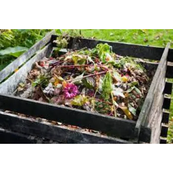  Backyard Compost Bin For Agriculture