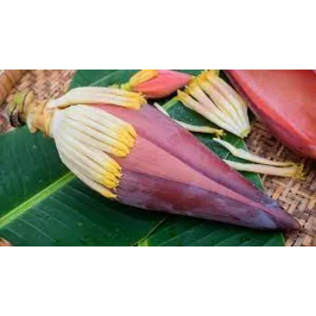Fresh Banana Flowers