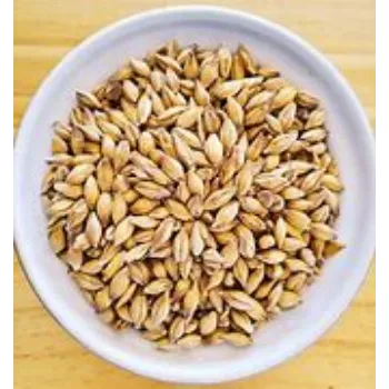 Barley
