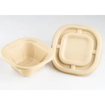  Biodegradable Container