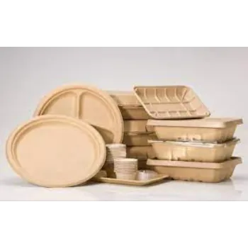 Sugarcane Bagasse Biodegradable Container