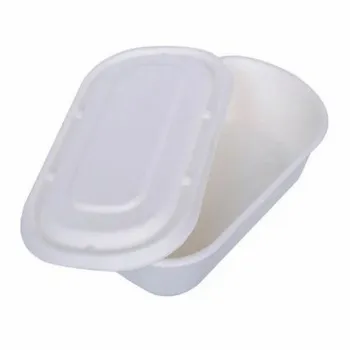  Biodegradable Container