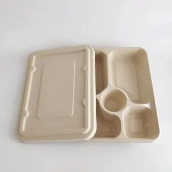  Biodegradable Container