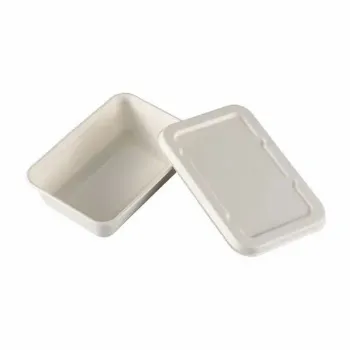  Biodegradable Container