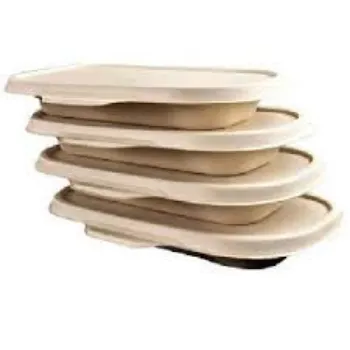  Biodegradable Container